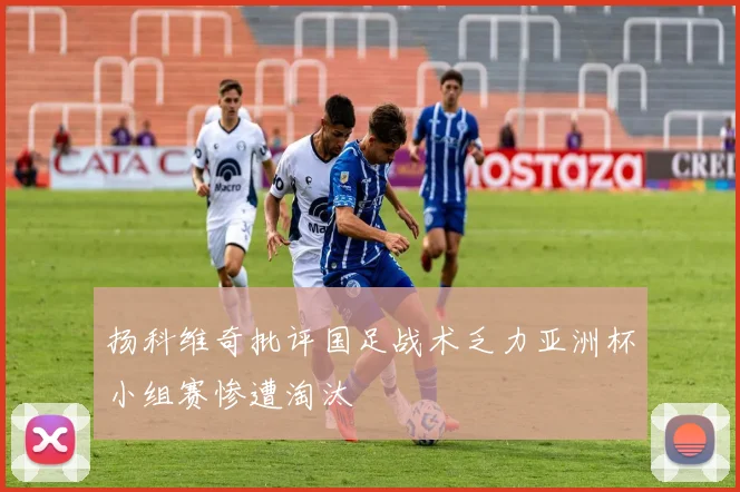 扬科维奇批评国足战术乏力亚洲杯小组赛惨遭淘汰