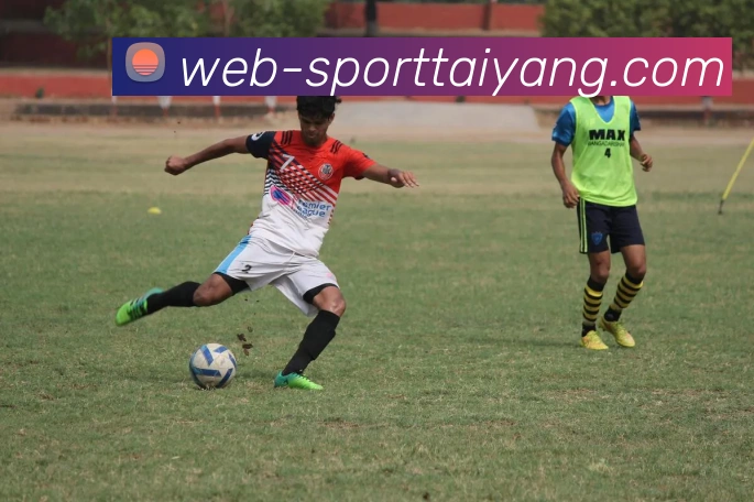 太阳城平台生态图